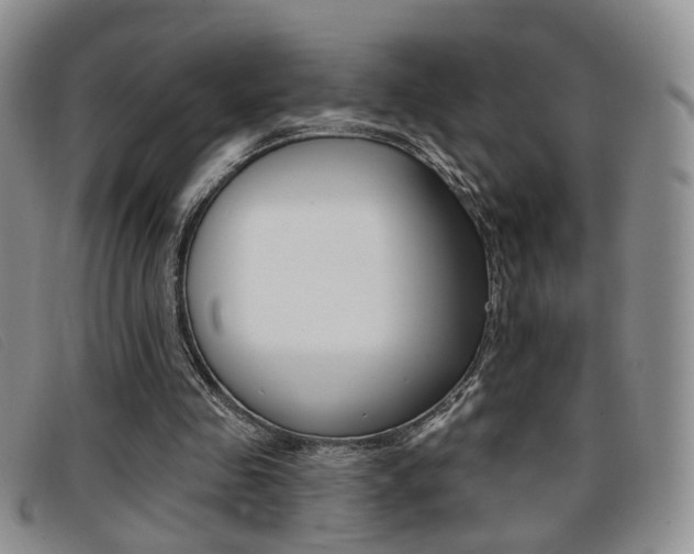 X0000096710341200802051042