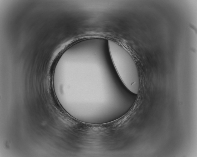 X0000096710342200802051042