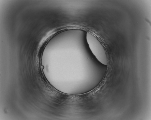 X0000096710343200802051042