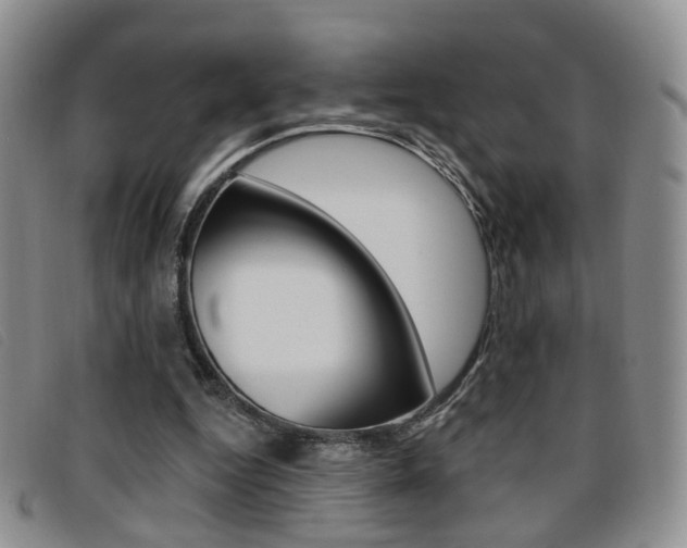 X0000096710344200802051042