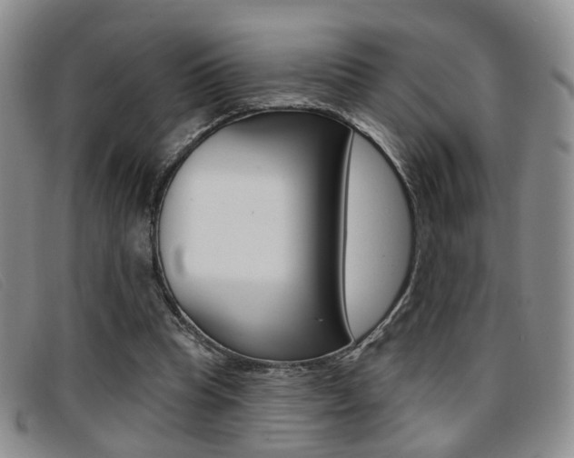 X0000096710345200802051042