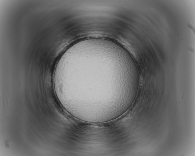 X0000096710347200802051042