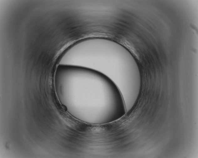 X0000096710348200802051042