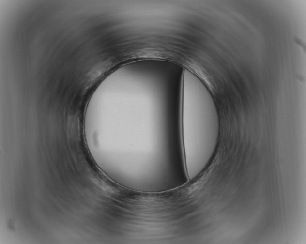 X0000096710349200802051042