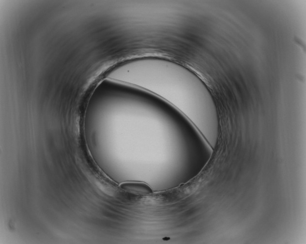 X0000096710350200802051042