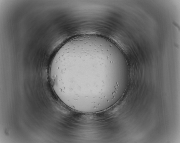 X0000096710351200802051042