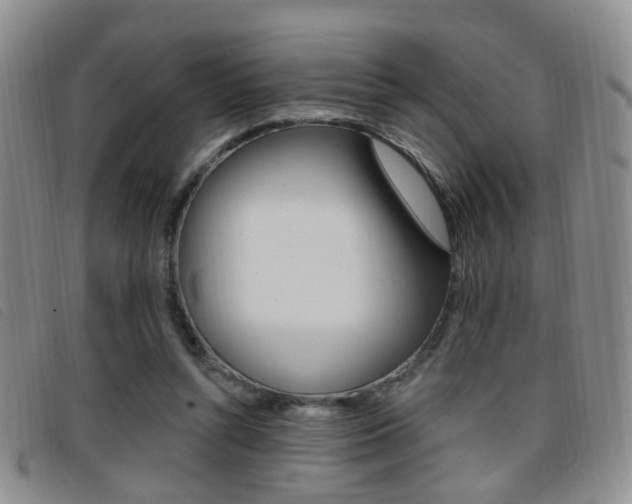 X0000096710352200802051043