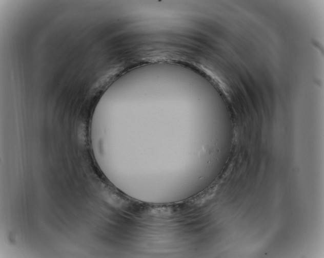 X0000096710353200802051043