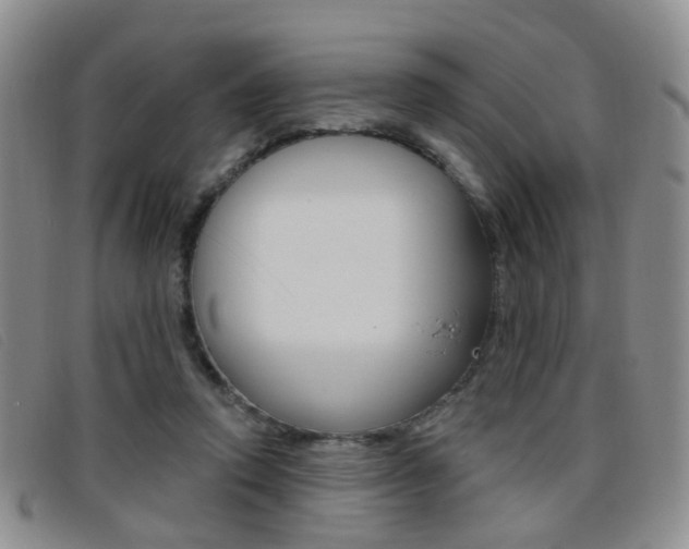 X0000096710354200802051043