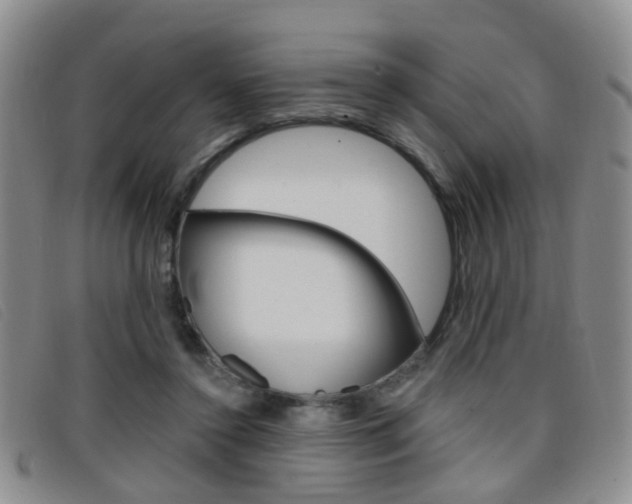 X0000096710356200802051043