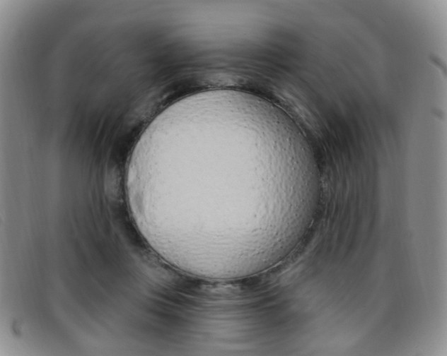 X0000096710359200802051043