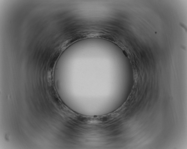 X0000096710360200802051043