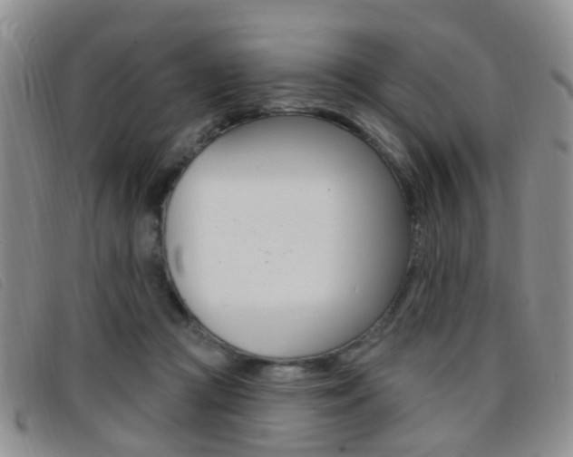 X0000096710361200802051043