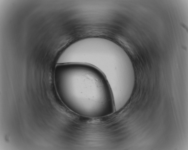 X0000096710362200802051043