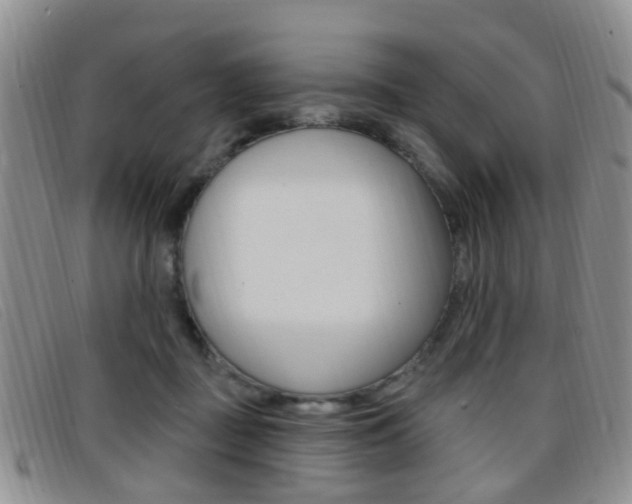 X0000096710363200802051043