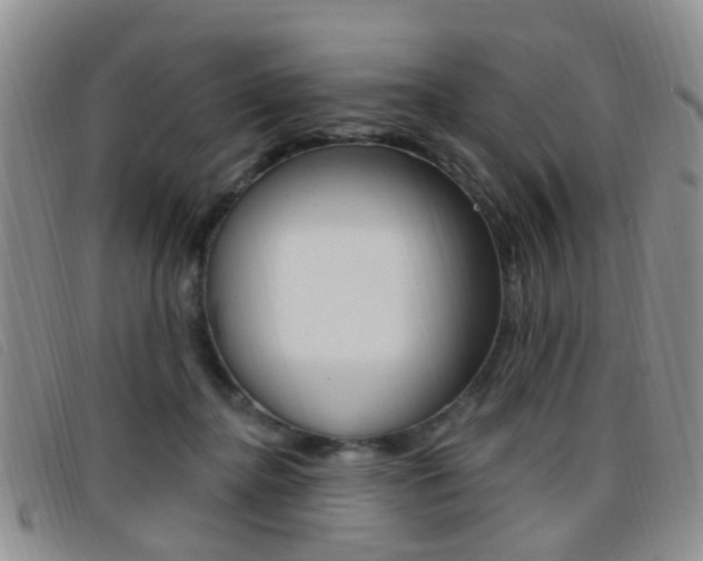 X0000096710364200802051043