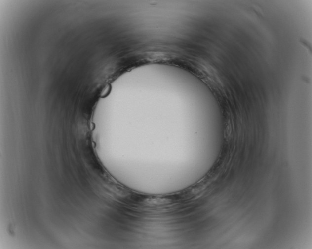 X0000096710367200802051043