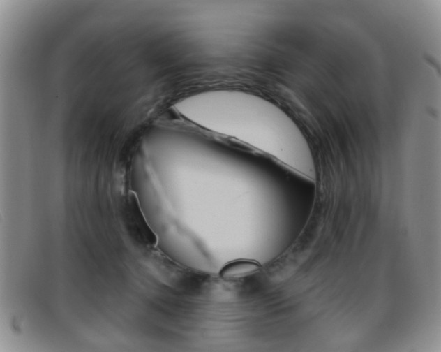 X0000096710368200802051043