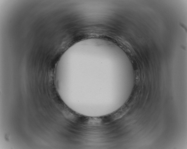 X0000096710369200802051043