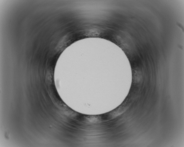 X0000096710370200802051043