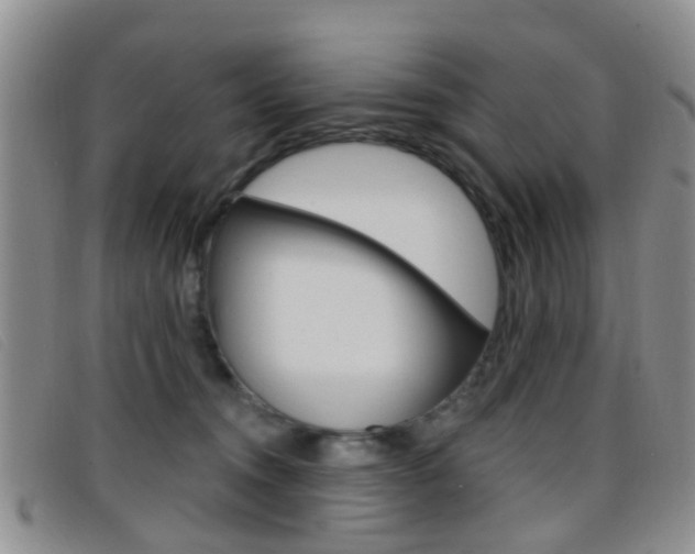 X0000096710372200802051043