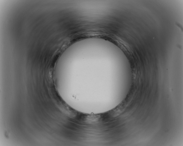 X0000096710373200802051043