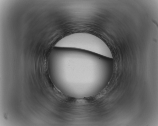 X0000096710376200802051043