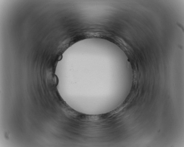 X0000096710377200802051043