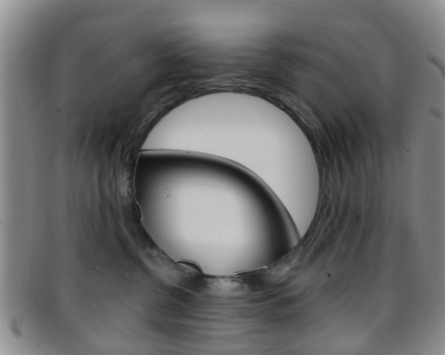 X0000096710380200802051043