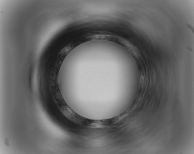 X0000096710381200802051043