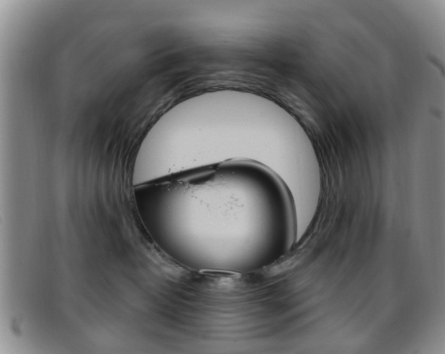 X0000096710382200802051043