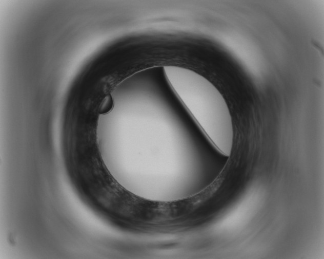 X0000096710383200802051043