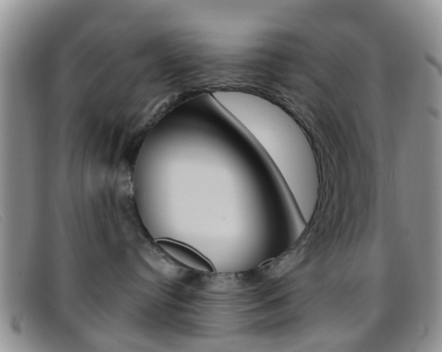 X0000096710384200802051043