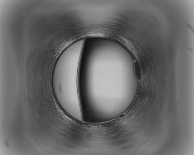 X0000096710385200802051042