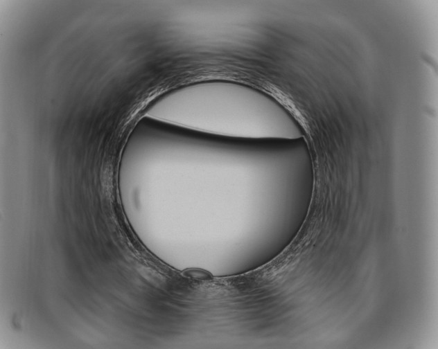 X0000096710386200802051042