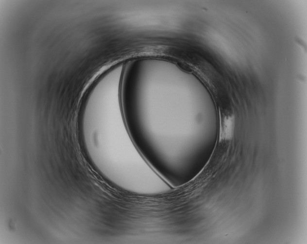 X0000096710387200802051042