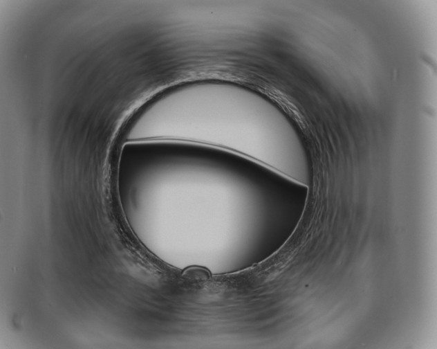 X0000096710388200802051042