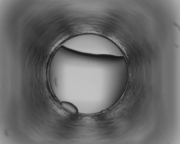 X0000096710390200802051042