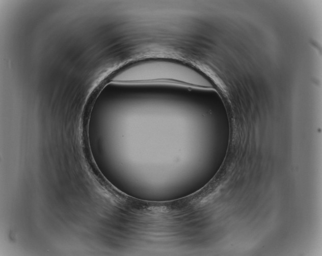 X0000096710391200802051042