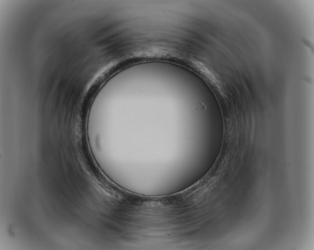 X0000096710392200802051042