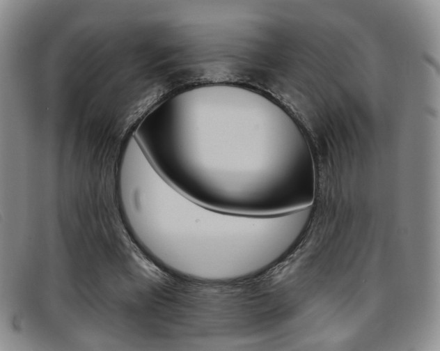 X0000096710393200802051042