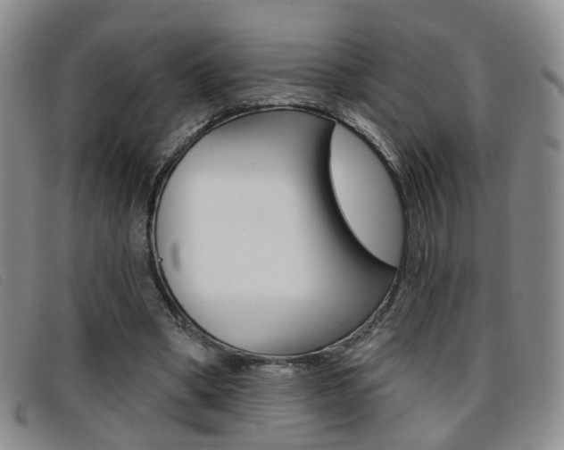 X0000096710394200802051042