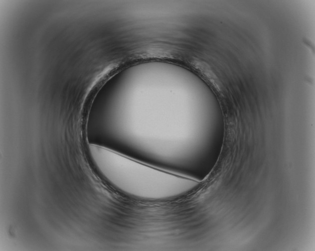 X0000096710395200802051042