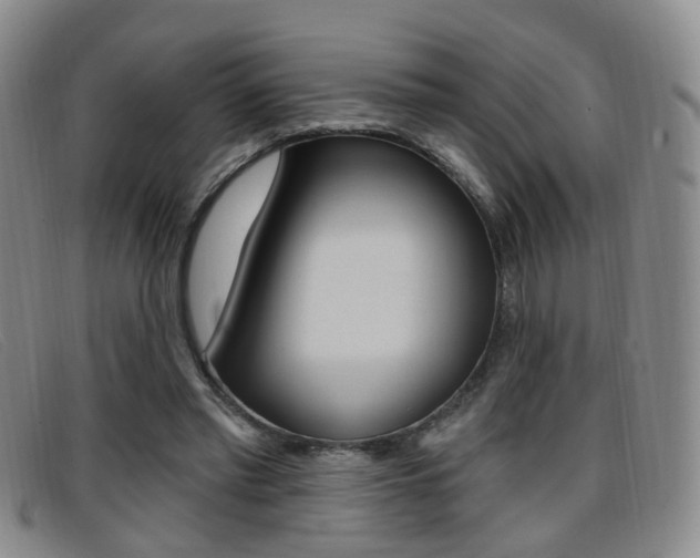 X0000096710397200802051042