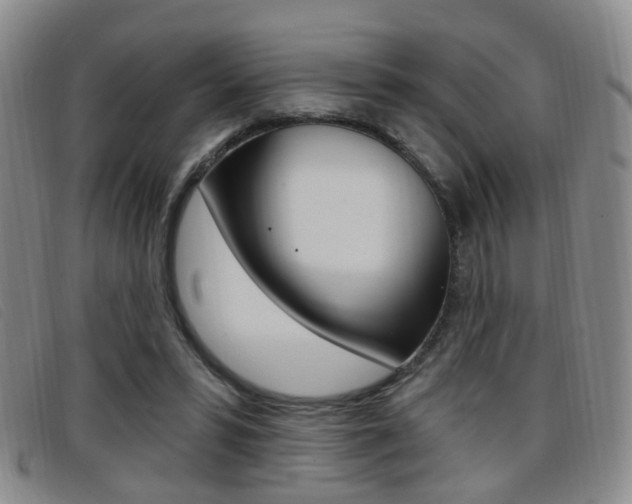 X0000096710399200802051042