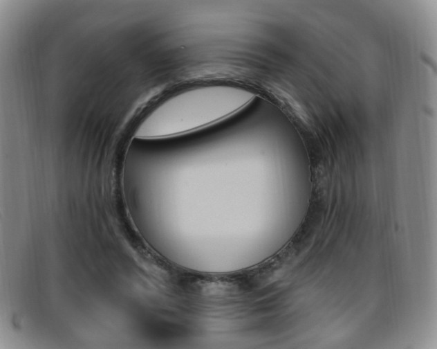 X0000096710400200802051042