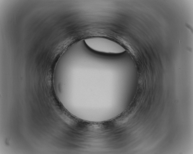 X0000096710402200802051042