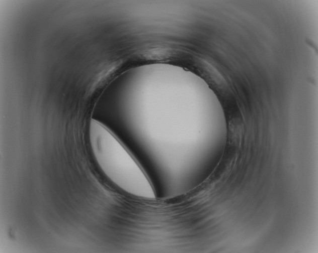 X0000096710404200802051042