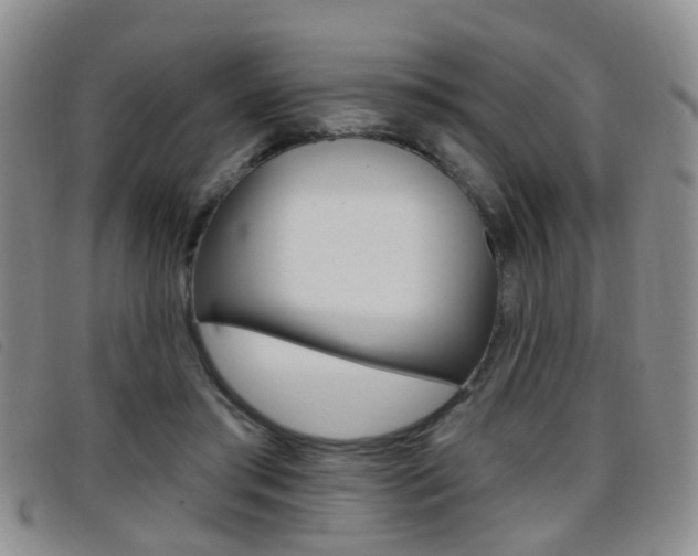 X0000096710405200802051042