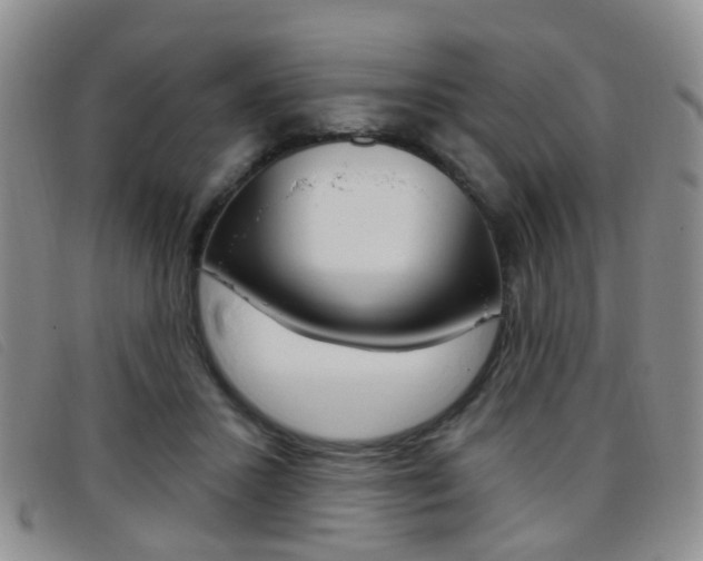 X0000096710407200802051042